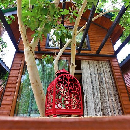 Koala Bungalows Olympos Exterior foto