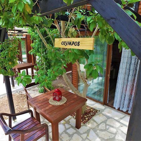 Koala Bungalows Olympos Exterior foto