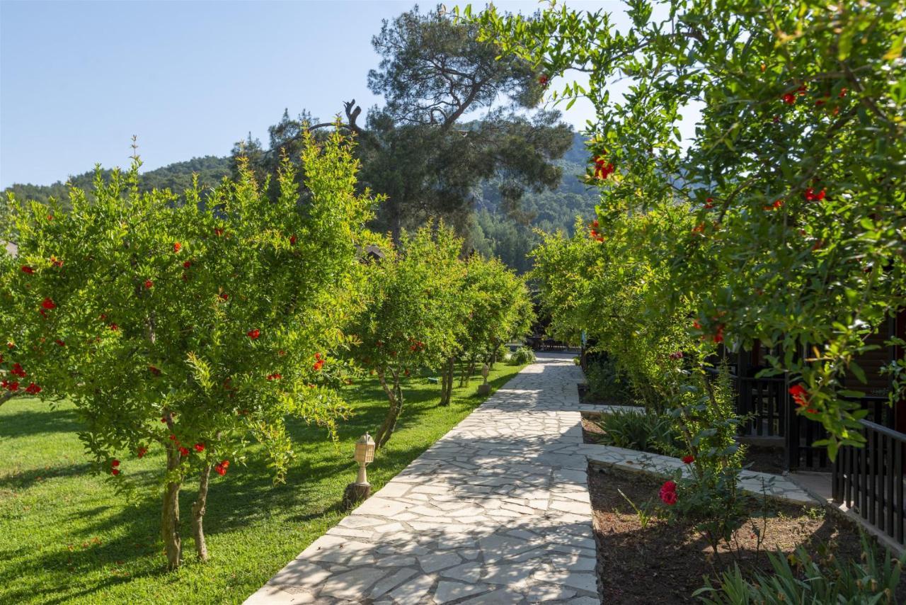 Koala Bungalows Olympos Exterior foto