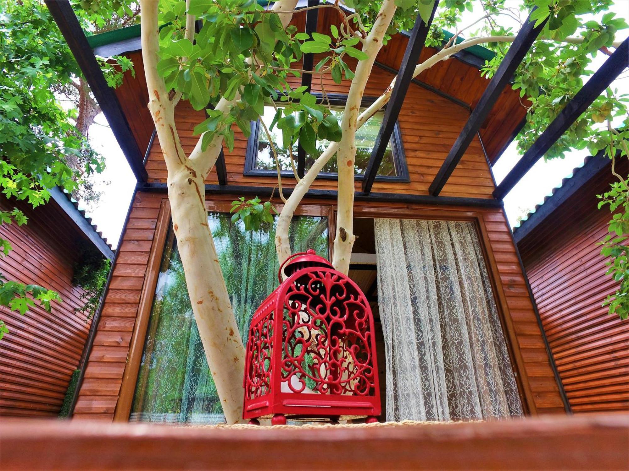 Koala Bungalows Olympos Exterior foto