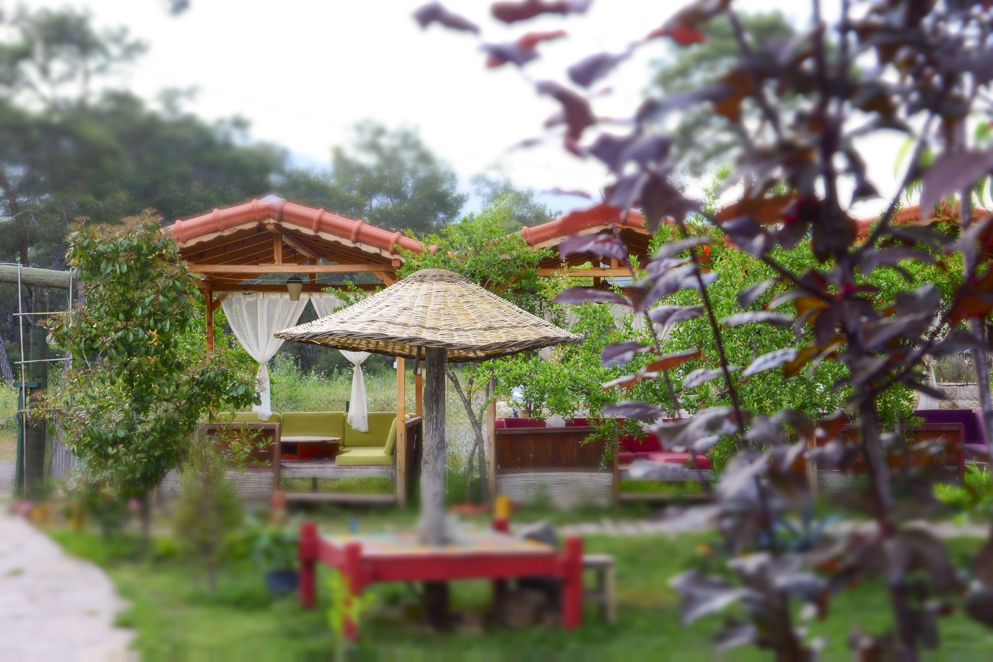 Koala Bungalows Olympos Exterior foto
