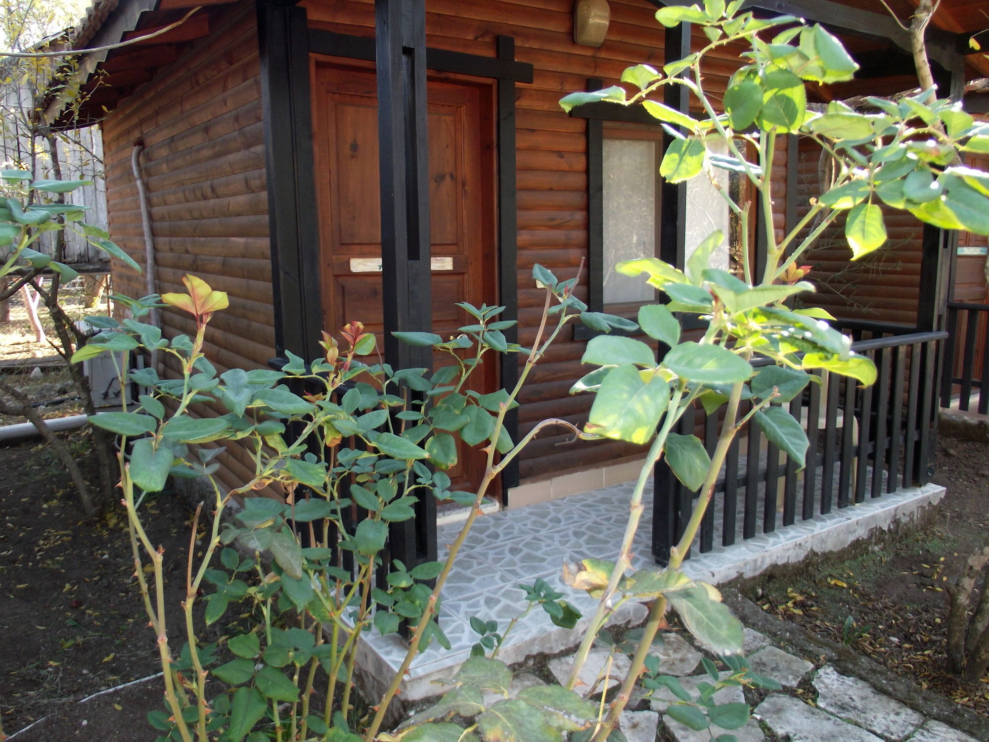 Koala Bungalows Olympos Exterior foto